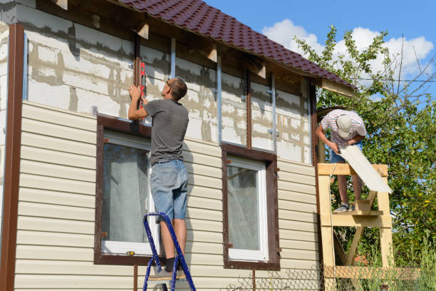 Best Insulated Siding Installation  in Rushvle, IL