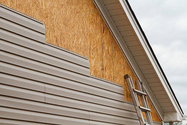 Best Aluminum Siding Installation  in Rushvle, IL